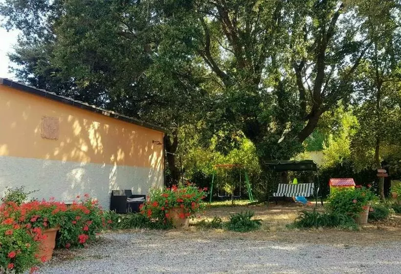 ホテル Punta Dei Lecci
