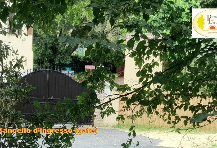 בית מלון כפרי Punta Dei Lecci