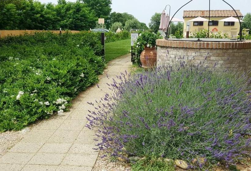 בית מלון כפרי Punta Dei Lecci