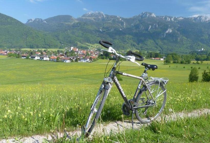 Отель Wirtshaus Zum Baumbach