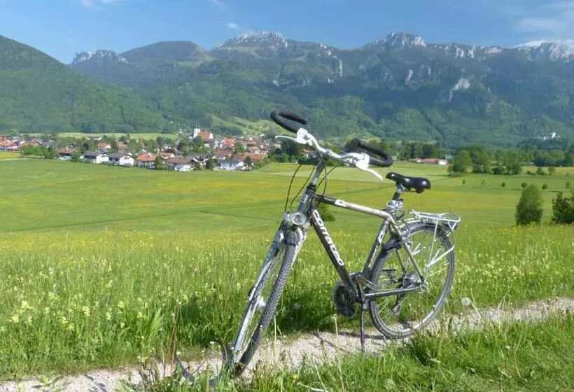 ホテル Wirtshaus Zum Baumbach