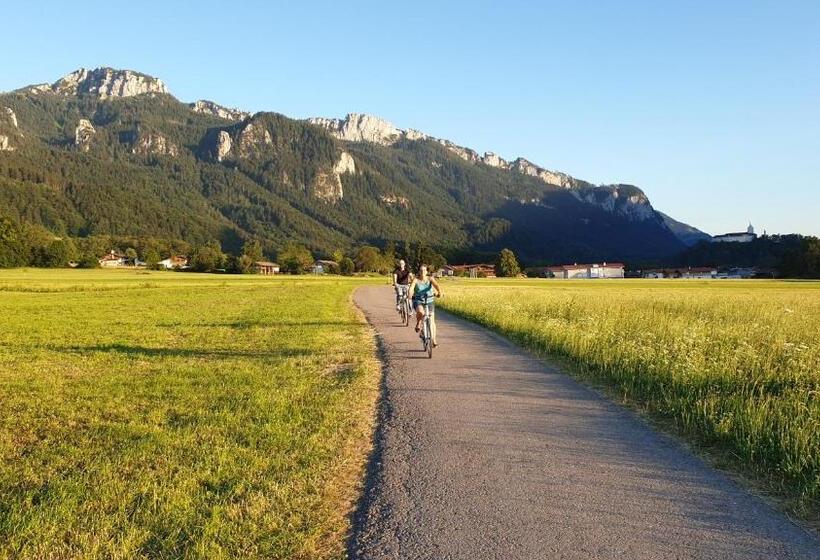 Отель Wirtshaus Zum Baumbach