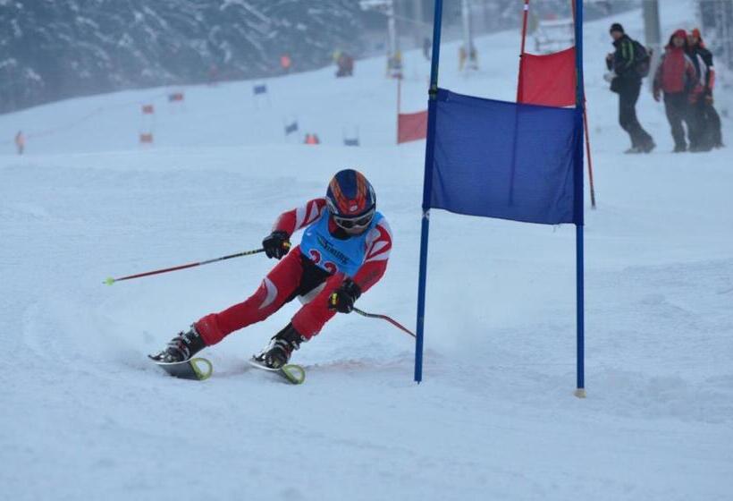 بنسيون Privat Nika