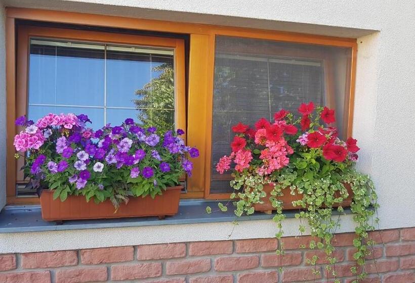 بنسيون Privat Nika