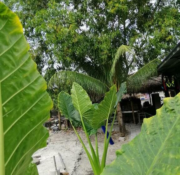 Cămin Katrina S Dorm