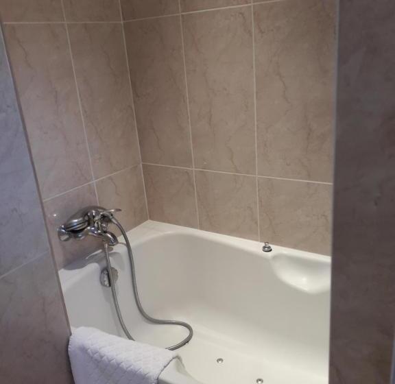 住宿加早餐  Artemis Suite