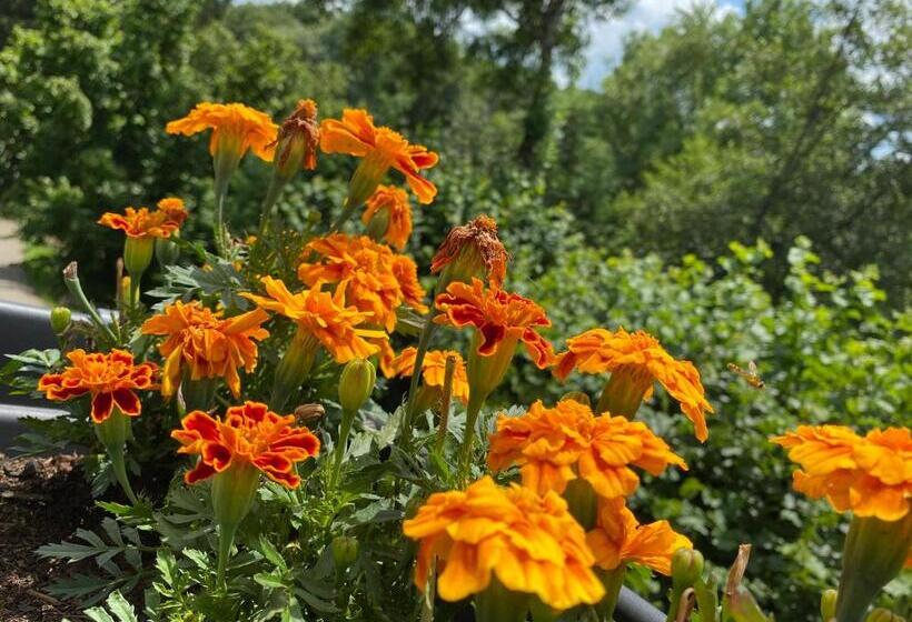 ベッドアンドブレックファースト Au Lavoir Du Serein La Billaude Et La Langouette
