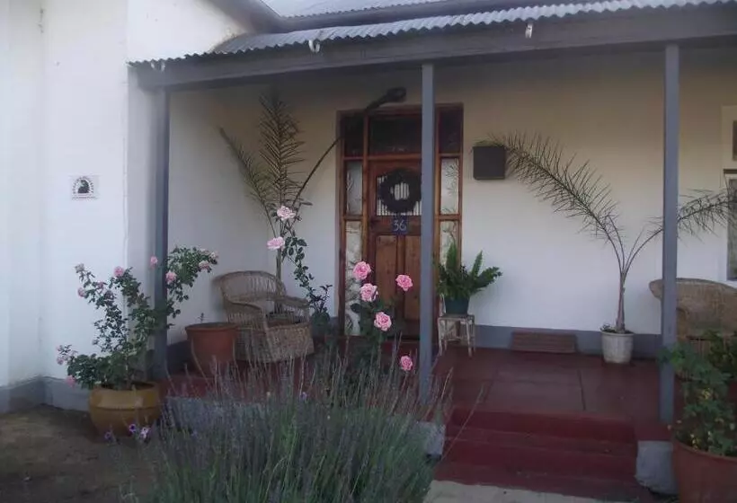 ベッドアンドブレックファースト Lavender Rose