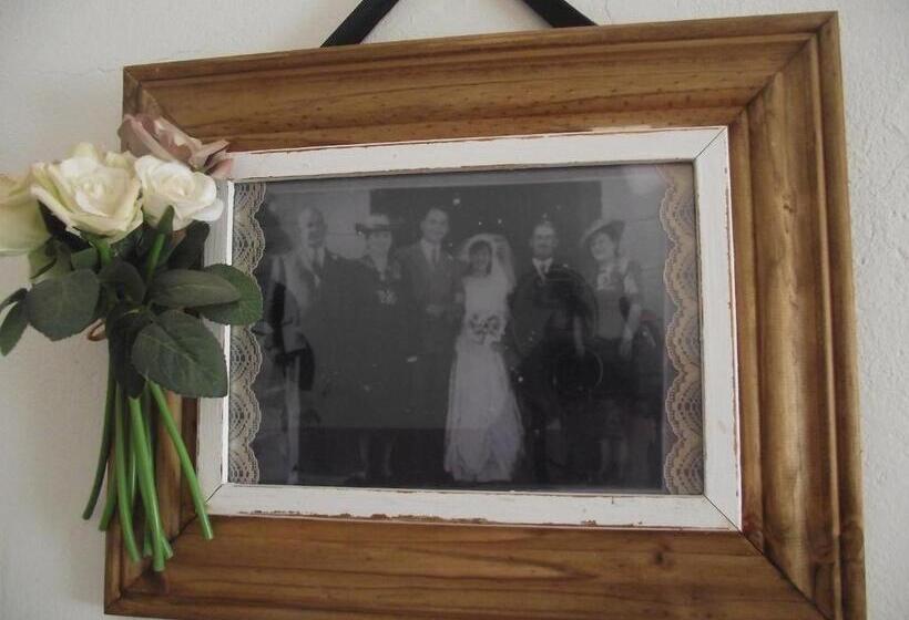 צימר Lavender Rose