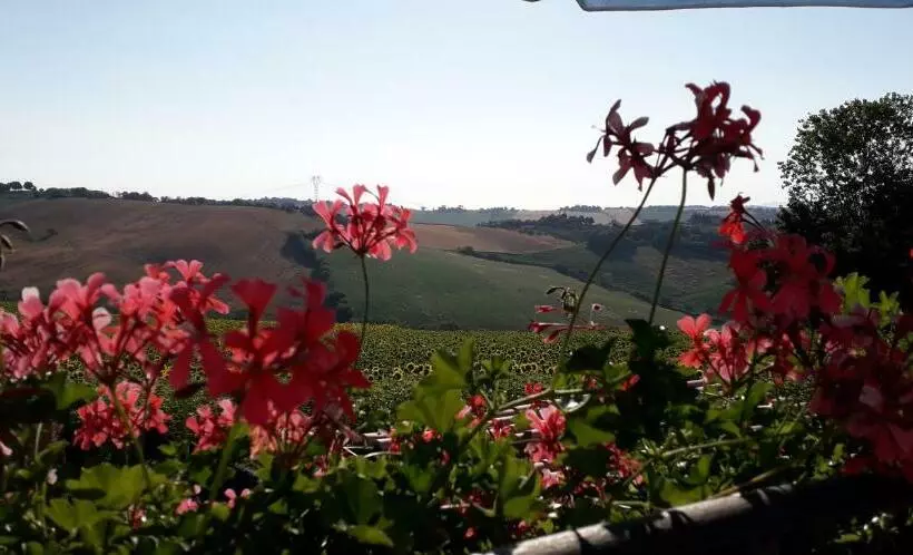 Aamiaismajoitus (B&B) Lo Scrigno Di Simon