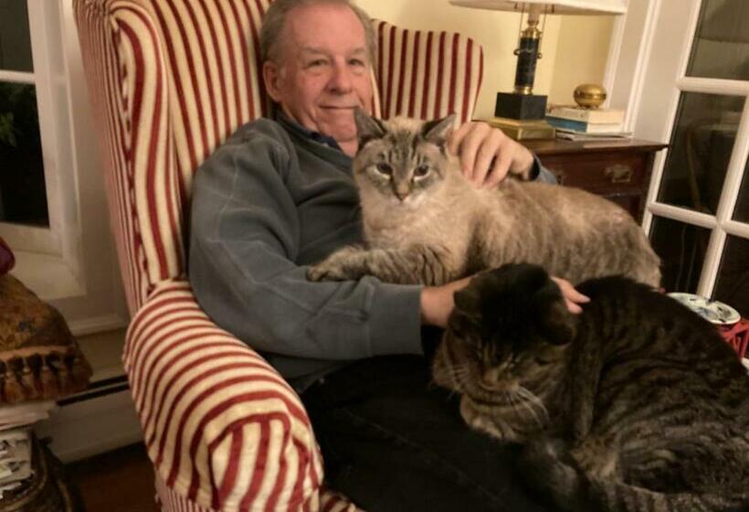 住宿加早餐  The Birch Grove