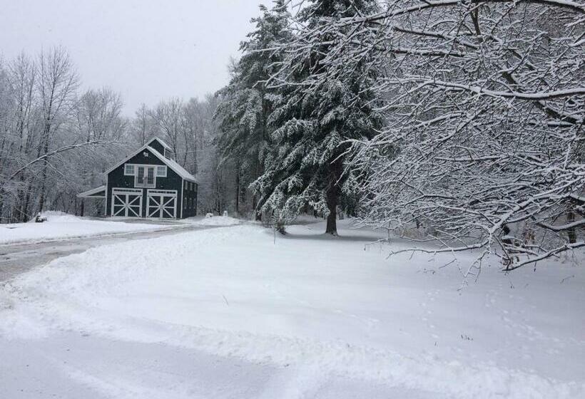住宿加早餐  The Birch Grove
