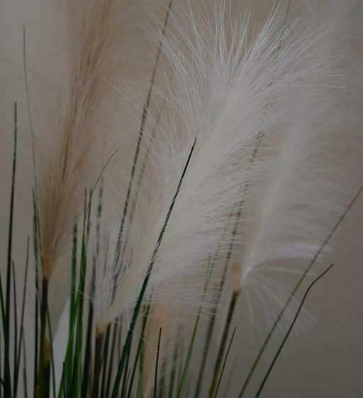 Hotel Berggasthof Waldlust