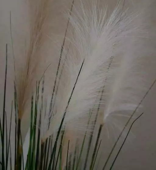 Hotelli Berggasthof Waldlust