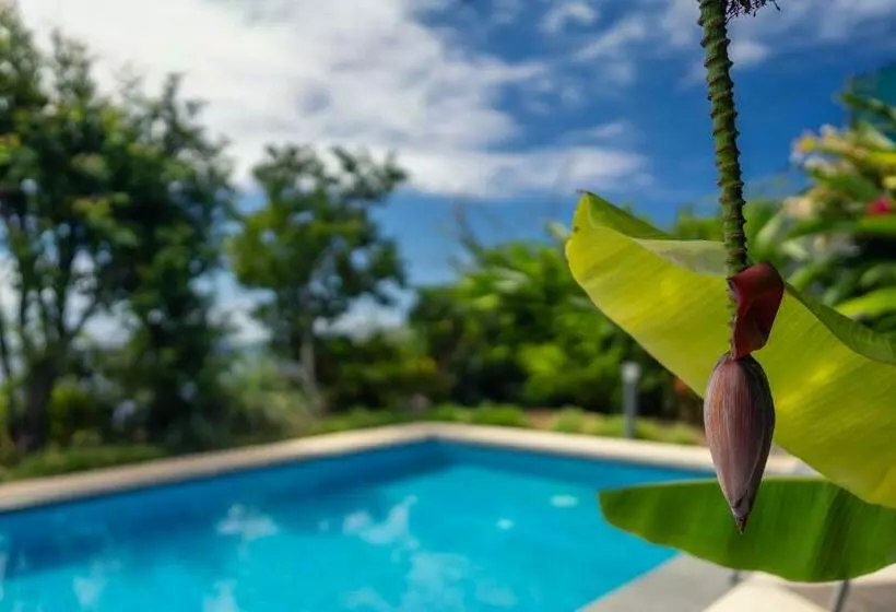 Majatalo Casa Da Cal   By Casas Na Ilha