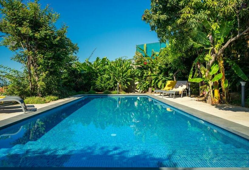 펜션 Casa Da Cal   By Casas Na Ilha