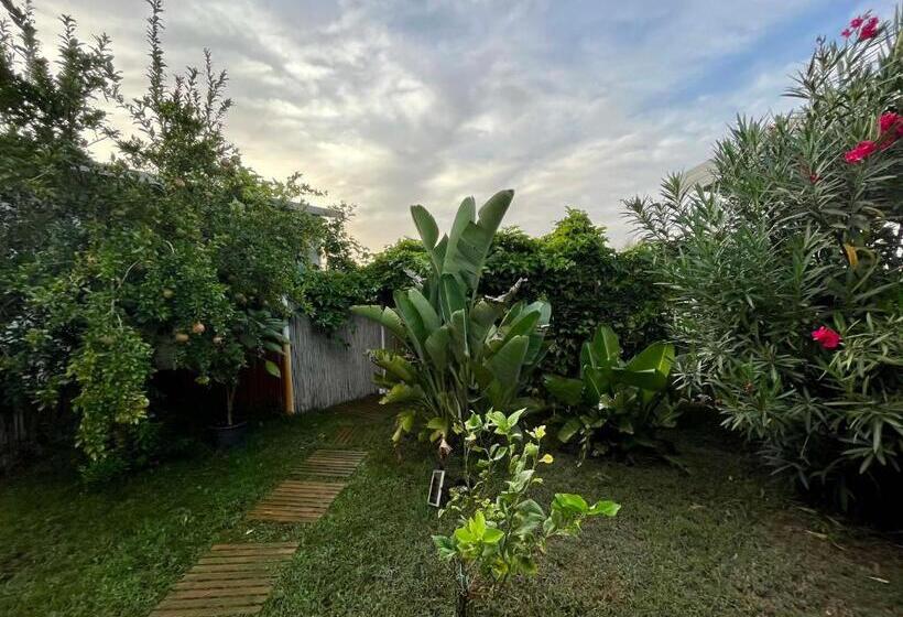 Panzió Mayana Sicily   The Suites