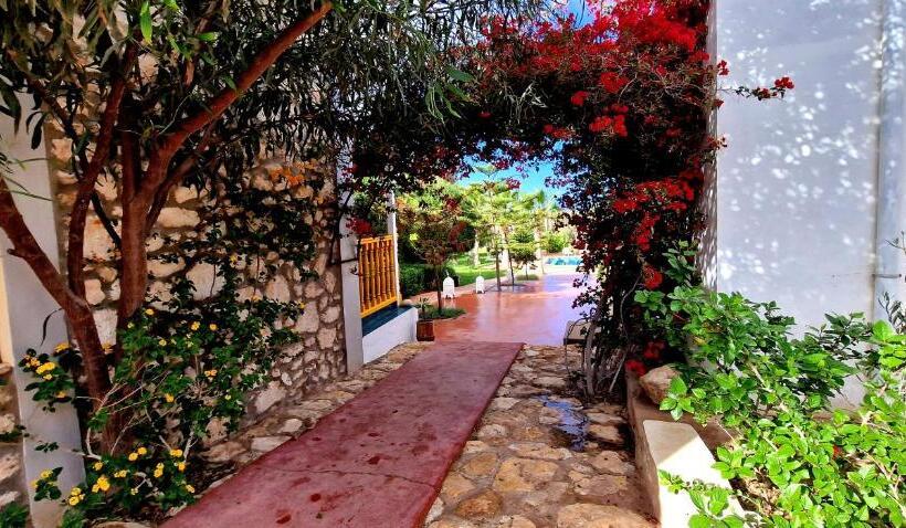 펜션 Terrasses Vertes