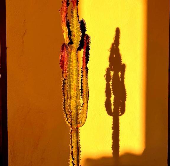 펜션 Terrasses Vertes