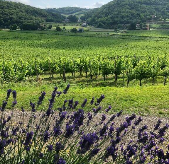 بنسيون B&b Ai Filari