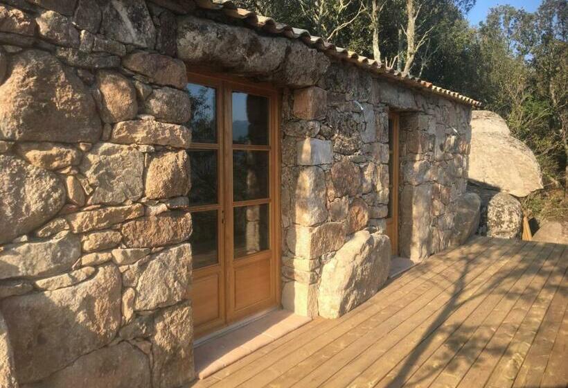 פנסיון Alzitedda