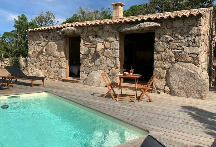 פנסיון Alzitedda