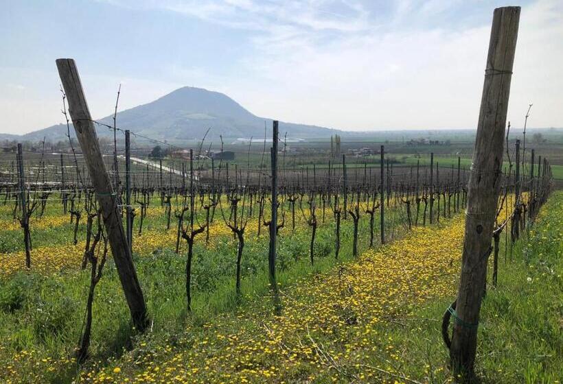 بنسيون B&b Ai Filari