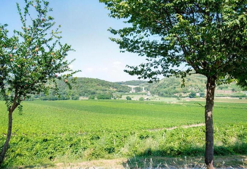 بنسيون B&b Ai Filari