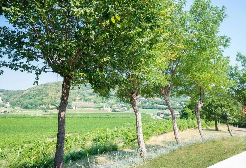 بنسيون B&b Ai Filari