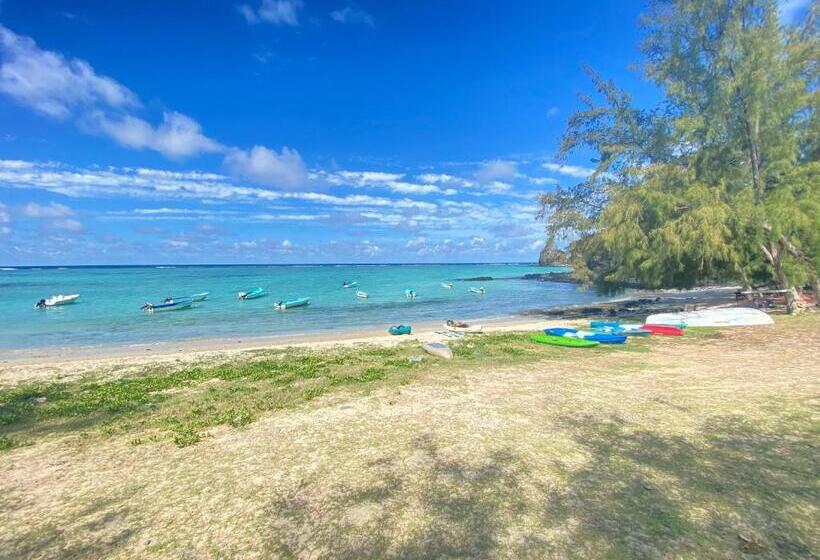 پانسیون La Rosedepine Chez Mariani Chez L Habitant