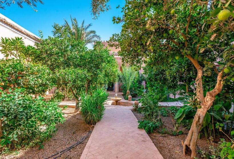 ריאדים Prestige Du Souss