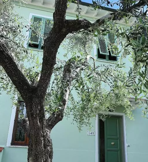 B&b Ulivo Gaio