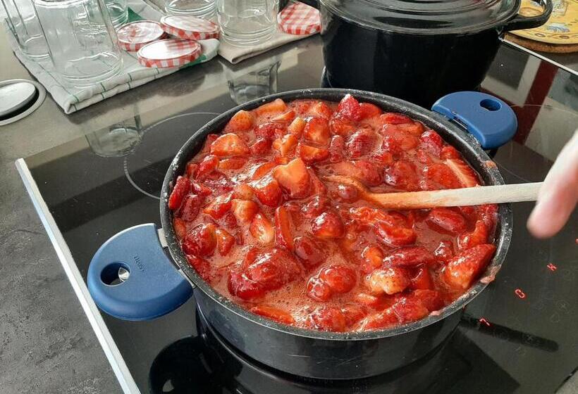 Bed and Breakfast Chez Blandine & Pol