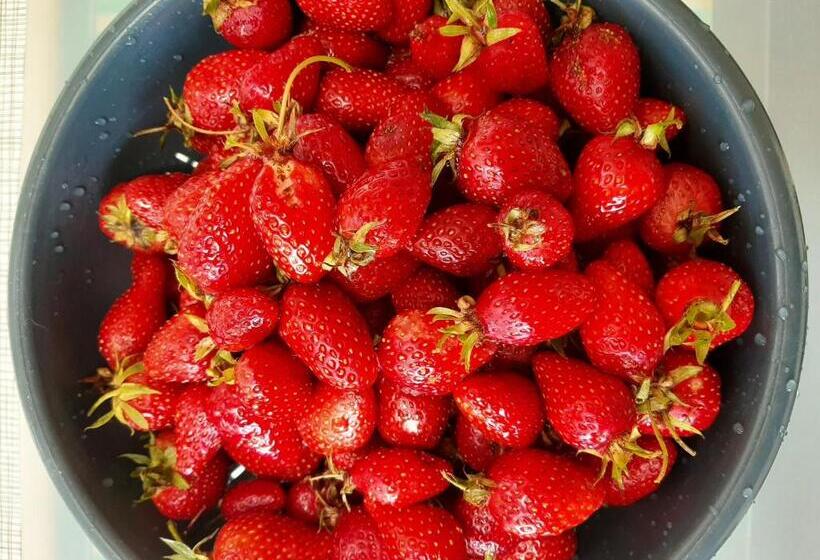 Bed and Breakfast Chez Blandine & Pol