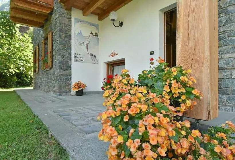 Aamiaismajoitus (B&B) La Casa Della Guida