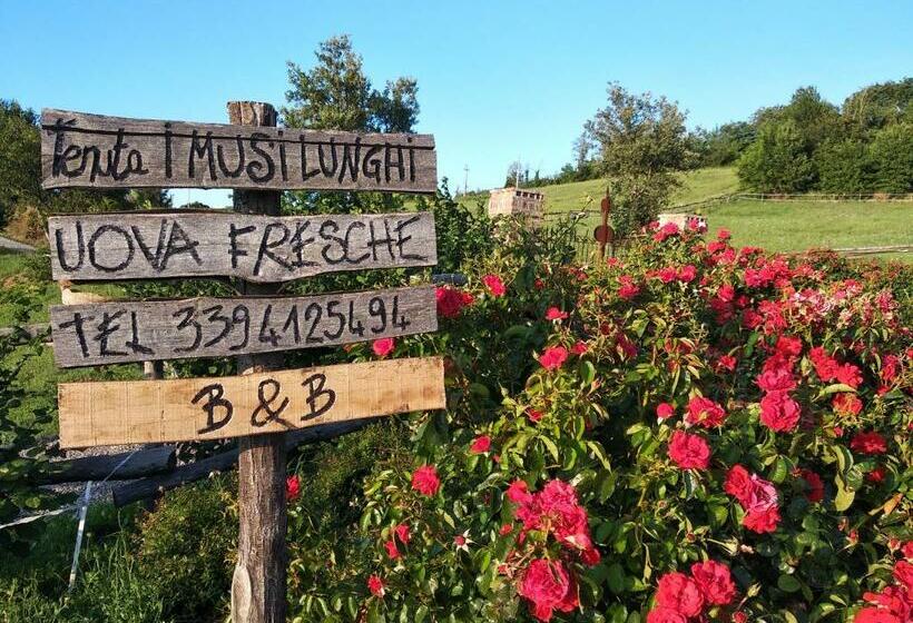 住宿加早餐  Tenuta I Musi Lunghi