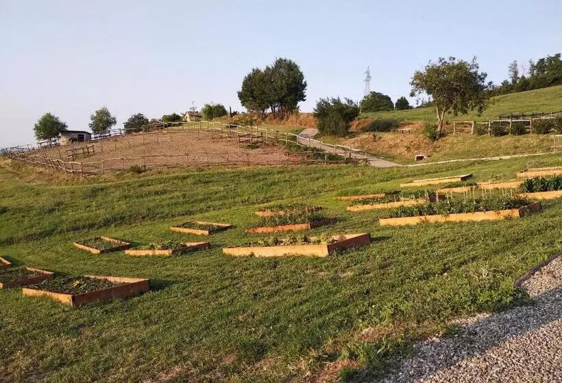 Aamiaismajoitus (B&B) Tenuta I Musi Lunghi