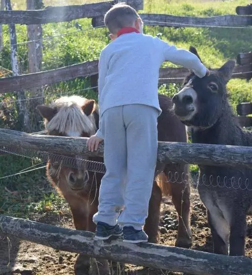 Aamiaismajoitus (B&B) Tenuta I Musi Lunghi