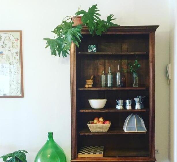 膳宿费 Botanea Guest House