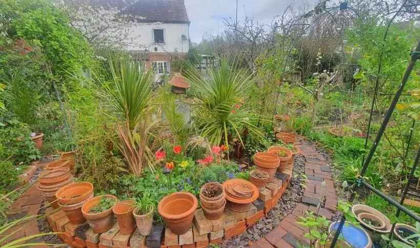 پانسیون Rosedale Cottage