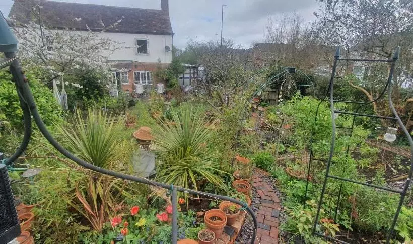 پانسیون Rosedale Cottage