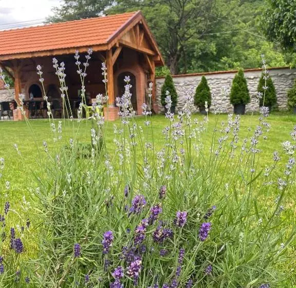 Pensiunea Maria