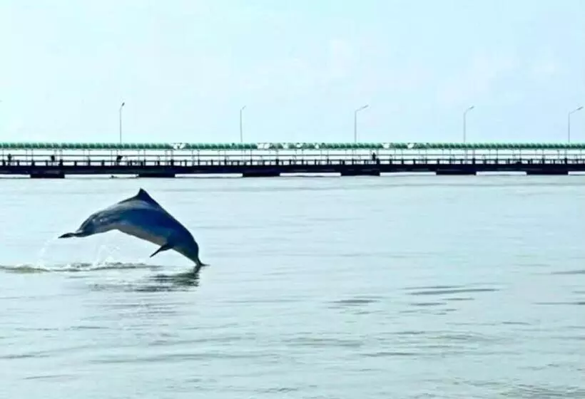 Majatalo Khwahol Guesthouse