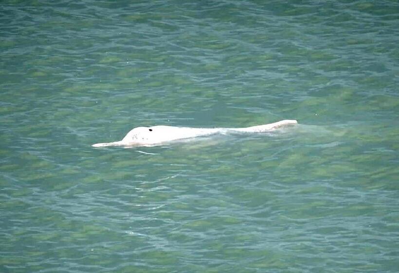 Pensão Khwahol Guesthouse