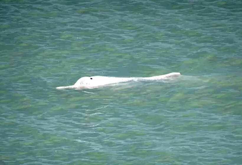 Majatalo Khwahol Guesthouse