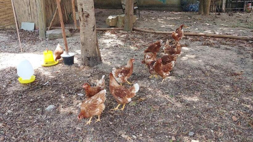 Pensão Khwahol Guesthouse