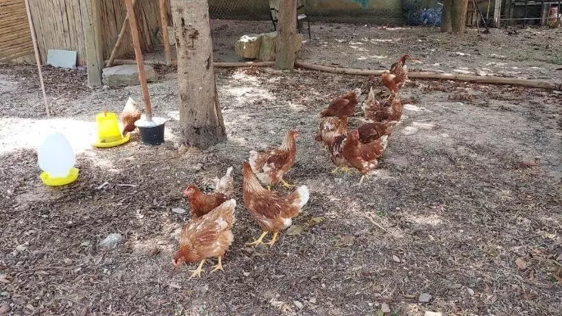 Majatalo Khwahol Guesthouse