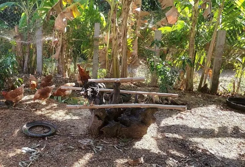 Majatalo Khwahol Guesthouse