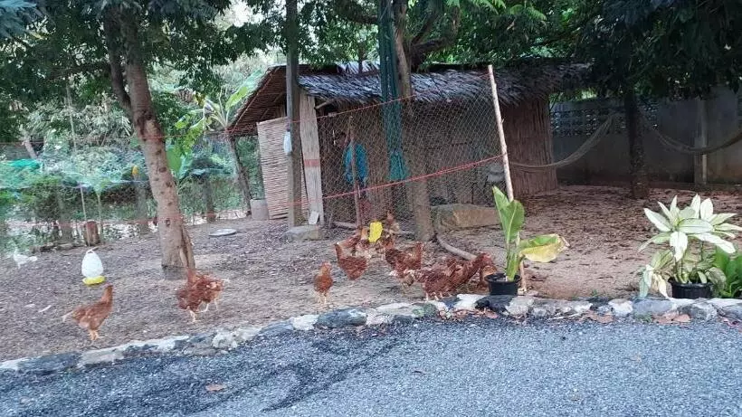 Majatalo Khwahol Guesthouse