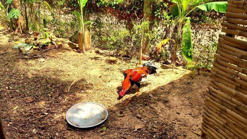 Pensão Khwahol Guesthouse